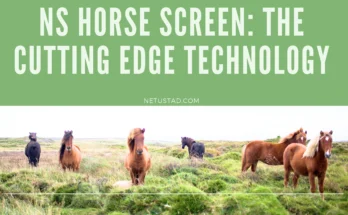 NS Horse Screen